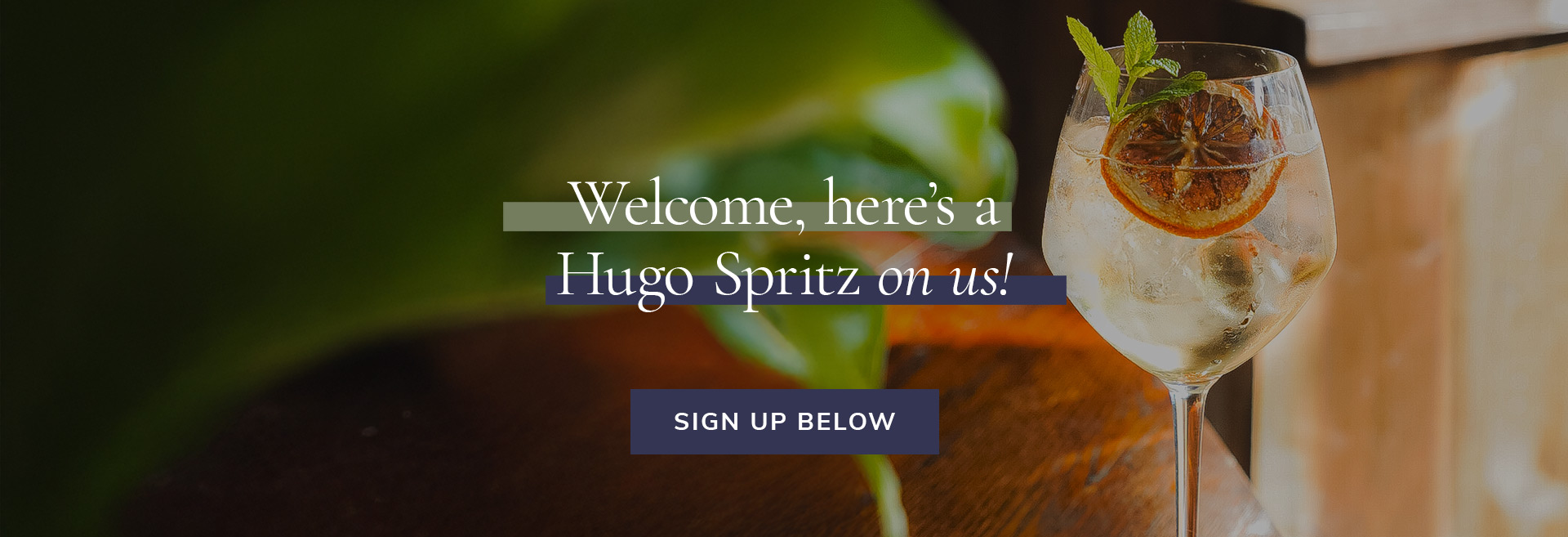Sign up to the newsletter at The Queen's Arms